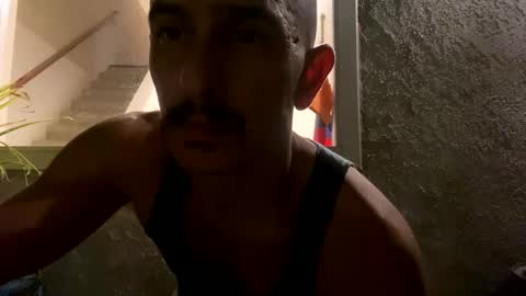 gofoxgo40 online show from October 11, 2025, 10:03 am