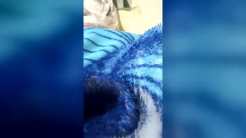 Snapshot of googl111 chatting on July 25, 2026, 6:38 pm googl111 online show from July 25, 2026, 6:38 pm
