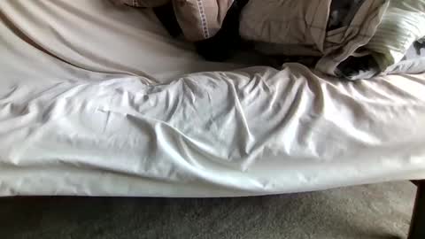 watch me stroke online show from April 12, 2026, 12:43 pm