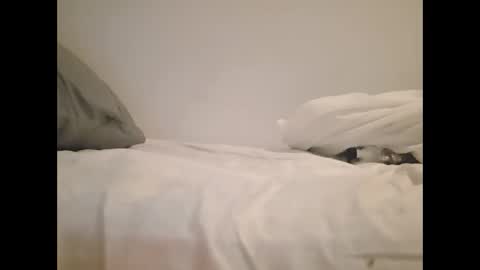 greekprince77 online show from March 2, 2026, 12:56 pm