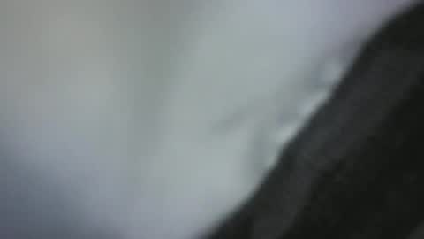 Snapshot of green_robin_hood chatting on December 2, 2024, 4:42 pm Green Robin Hood online show from December 2, 2024, 4:42 pm