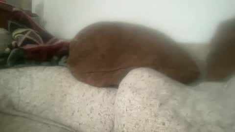 Sonny online show from December 21, 2025, 6:04 pm