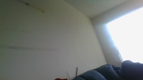 Snapshot of gringoloco253783 chatting on December 31, 2024, 4:46 pm certifiedloverboy online show from December 31, 2024, 4:46 pm