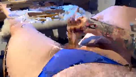 Snapshot of gt79802068 chatting on January 11, 2026, 6:07 am gt79802068 online show from January 11, 2026, 6:07 am