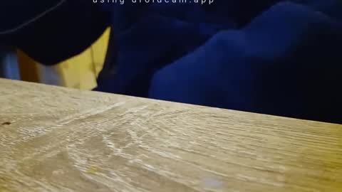 Franky online show from September 18, 2025, 10:56 pm