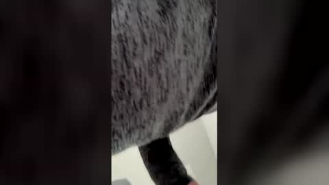 Snapshot of h4fun69 chatting on March 6, 2026, 5:53 pm Ricko online show from March 6, 2026, 5:53 pm