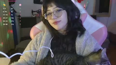 Hachiko online show from July 28, 2026, 1:23 am
