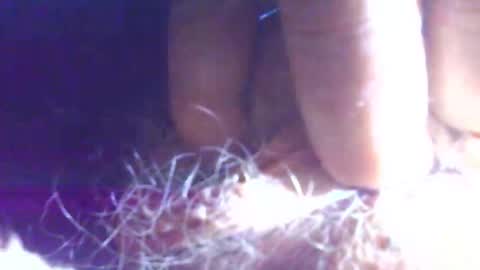 Snapshot of hagridthehorrible chatting on November 1, 2025, 11:23 am hagridthehorrible online show from November 1, 2025, 11:23 am