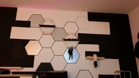 haileycat_ online show from February 6, 2025, 2:33 am