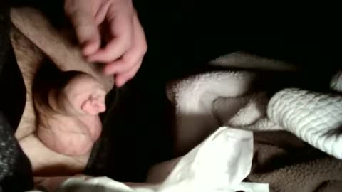 share9 online show from February 2, 2026, 3:05 am