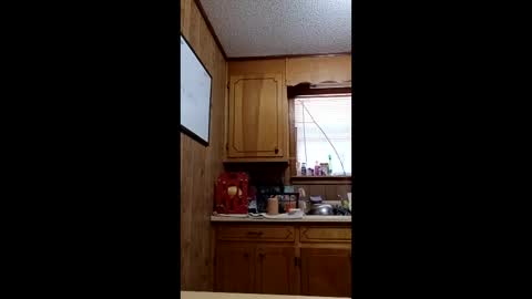 hailstorm32 online show from April 19, 2026, 6:54 pm