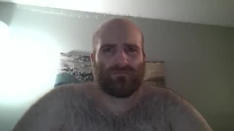 Snapshot of hairiestbear chatting on December 28, 2024, 7:43 pm Hairiest Bear online show from December 28, 2024, 7:43 pm
