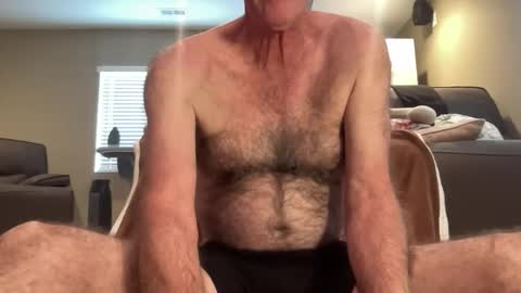 Snapshot of hairybater26 chatting on May 17, 2026, 8:49 pm Harry online show from May 17, 2026, 8:49 pm