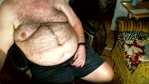 hairybear813 online show from November 2, 2025, 9:50 pm