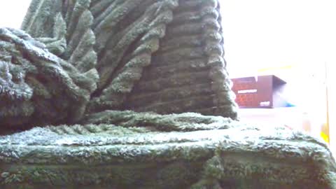 Snapshot of hairyhornytwinkk chatting on November 14, 2025, 10:36 am HairyHornyTwinkk online show from November 14, 2025, 10:36 am