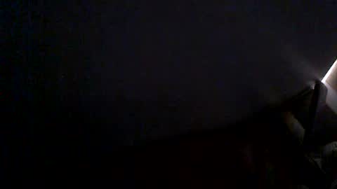 Snapshot of hairyman007 chatting on June 24, 2026, 9:52 am hairyman007 online show from June 24, 2026, 9:52 am