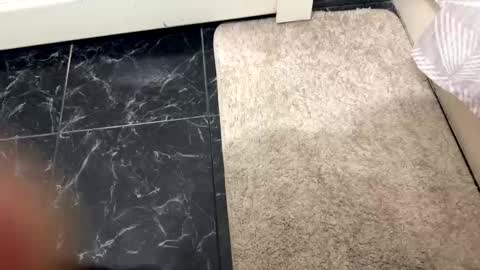 halebb online show from October 20, 2025, 1:06 am