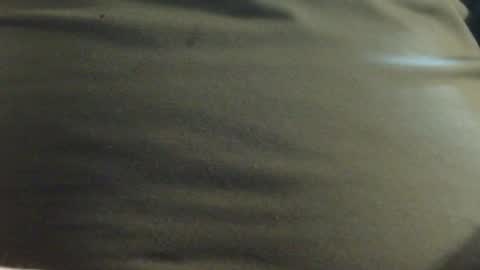 Snapshot of hamhead71 chatting on January 23, 2025, 12:52 pm hamhead71 online show from January 23, 2025, 12:52 pm