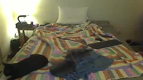 hammerthatthang73 online show from October 18, 2025, 7:20 am