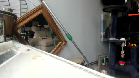 handncocknocum online show from February 4, 2025, 11:16 am