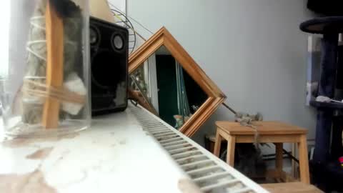 handncocknocum online show from February 19, 2025, 9:06 am