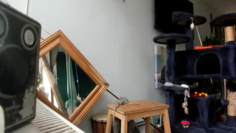 handncocknocum online show from February 25, 2025, 10:47 am