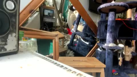 handncocknocum online show from March 9, 2025, 8:18 am