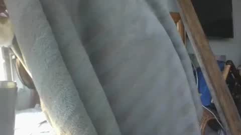 Snapshot of handncocknocum chatting on January 16, 2026, 9:02 am handncocknocum online show from January 16, 2026, 9:02 am