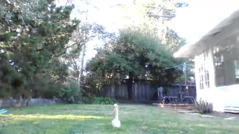 HandySmurf online show from December 4, 2024, 11:24 pm