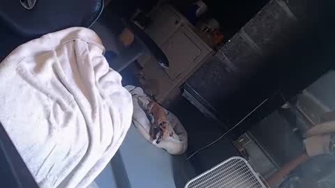 Snapshot of handystud33 chatting on June 3, 2026, 4:01 pm handystud33 online show from June 3, 2026, 4:01 pm