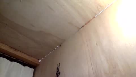 handywoody online show from February 1, 2026, 11:36 pm