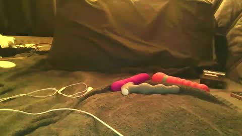 Snapshot of hannabannaxx chatting on February 21, 2026, 1:17 am Hanna Banana online show from February 21, 2026, 1:17 am