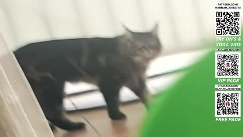 Hannah James online show from April 3, 2026, 4:16 pm