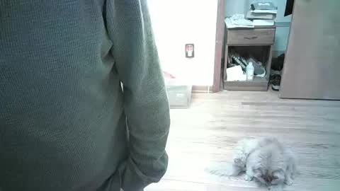 Snapshot of har5 chatting on January 3, 2025, 8:01 pm Hardy-Har online show from January 3, 2025, 8:01 pm