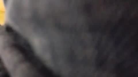 hardandhorny422 online show from May 10, 2026, 5:18 pm