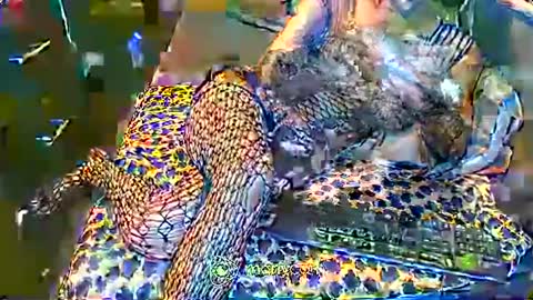 Snapshot of hardfucking_mistress chatting on February 2, 2025, 12:46 pm Irina online show from February 2, 2025, 12:46 pm