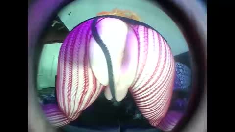 hardkoregigi online show from September 19, 2025, 8:31 pm