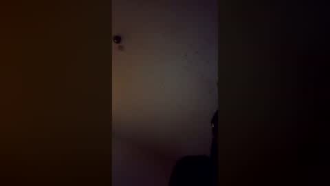 Snapshot of hartmelvin75 chatting on July 28, 2026, 12:59 pm hartmelvin75 online show from July 28, 2026, 12:59 pm