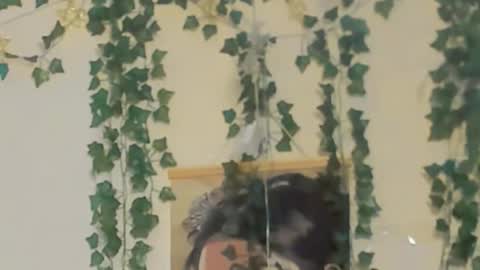 HateEmotions online show from October 10, 2025, 2:16 pm