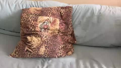 havedream1m online show from February 10, 2026, 10:08 am