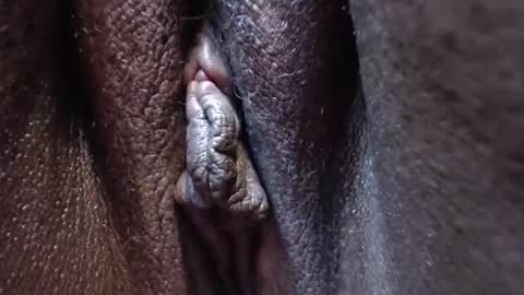 Snapshot of heatherjee chatting on October 28, 2025, 3:36 pm Heather online show from October 28, 2025, 3:36 pm