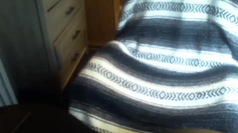 hecomesagain online show from September 22, 2025, 1:57 pm