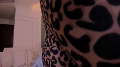 Snapshot of heidy_jhons chatting on February 21, 2026, 7:26 pm Heidy online show from February 21, 2026, 7:26 pm