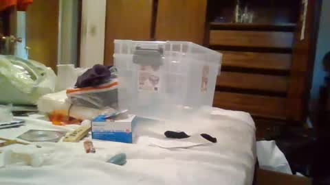 Roxanne online show from July 29, 2026, 11:25 pm