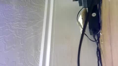 Snapshot of hellobunbunx0 chatting on December 27, 2024, 4:43 pm hellobunbunx0 online show from December 27, 2024, 4:43 pm