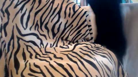 Helvell online show from February 13, 2026, 10:44 am