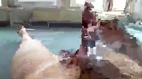 hera44 online show from October 9, 2025, 10:57 am