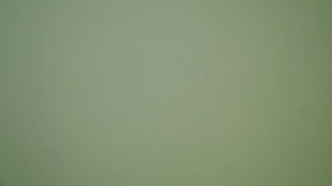 John Pearl online show from December 30, 2024, 10:01 pm