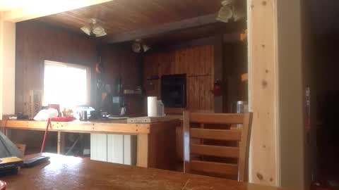 Jason online show from February 26, 2026, 6:51 pm