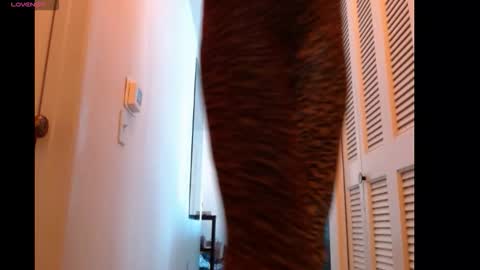 hevin69 online show from February 15, 2026, 7:10 pm